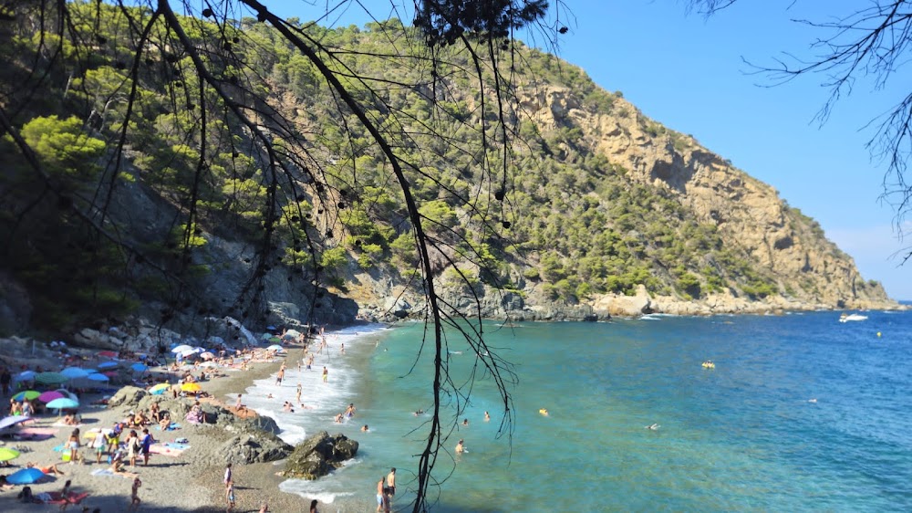 Platja Fonda