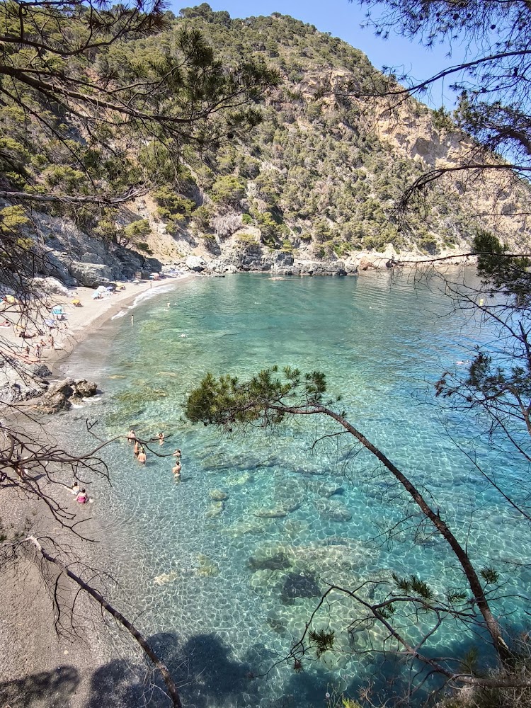 Platja Fonda