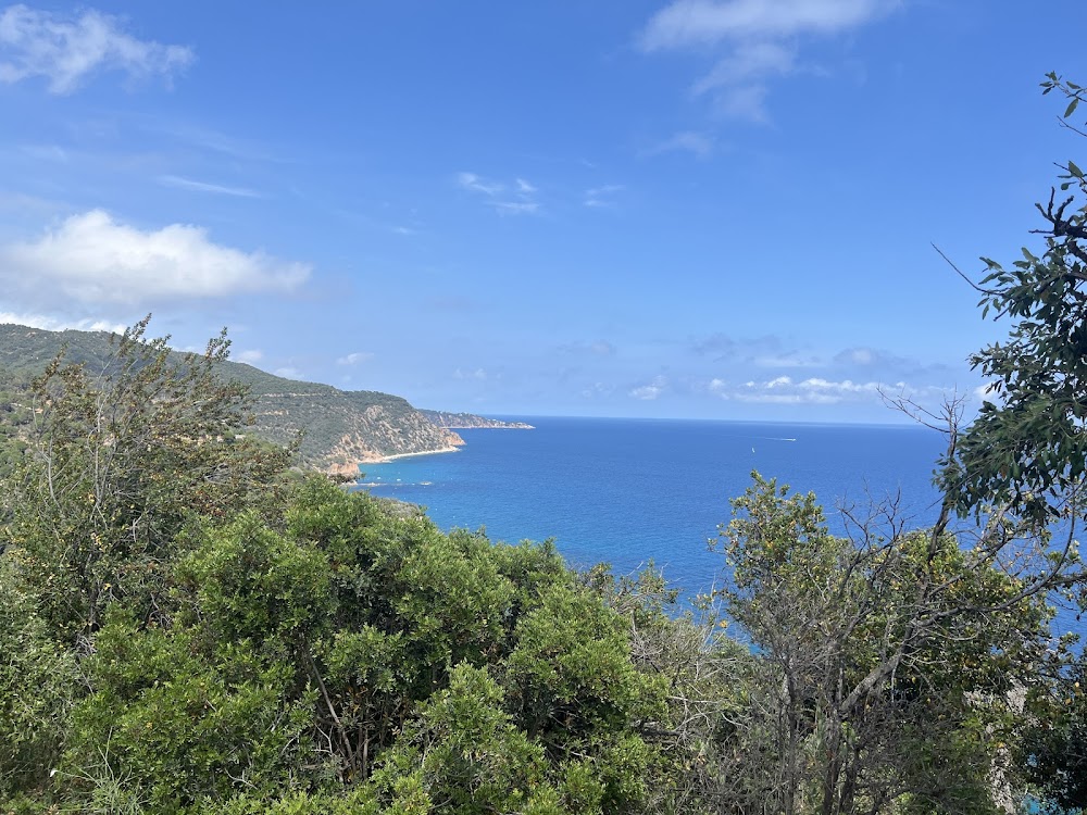 Platja Fonda