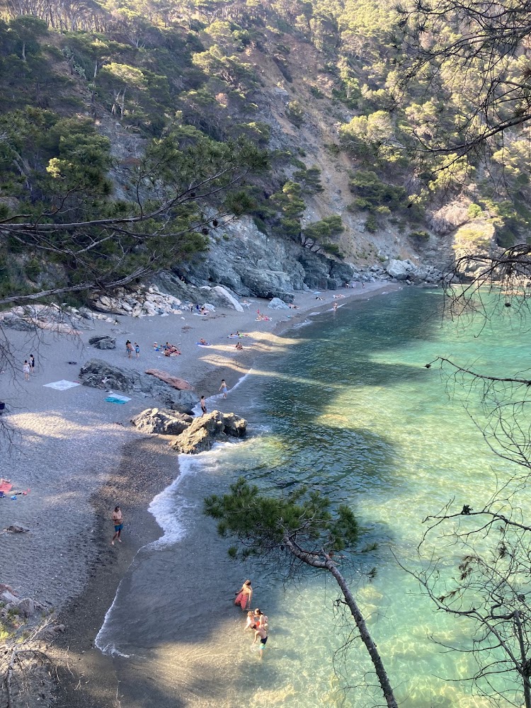 Platja Fonda