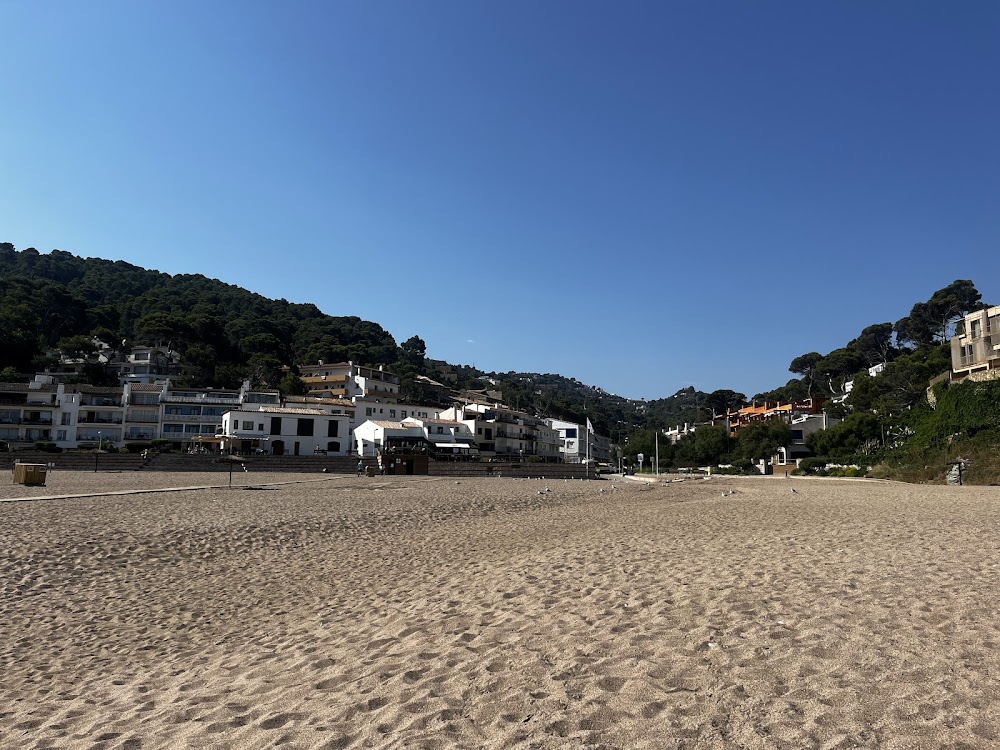 Platja de Sa Riera