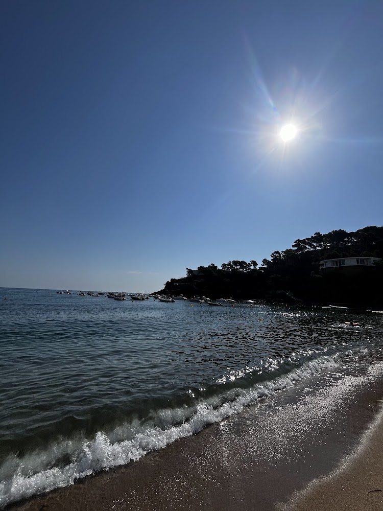 Platja de Sa Riera
