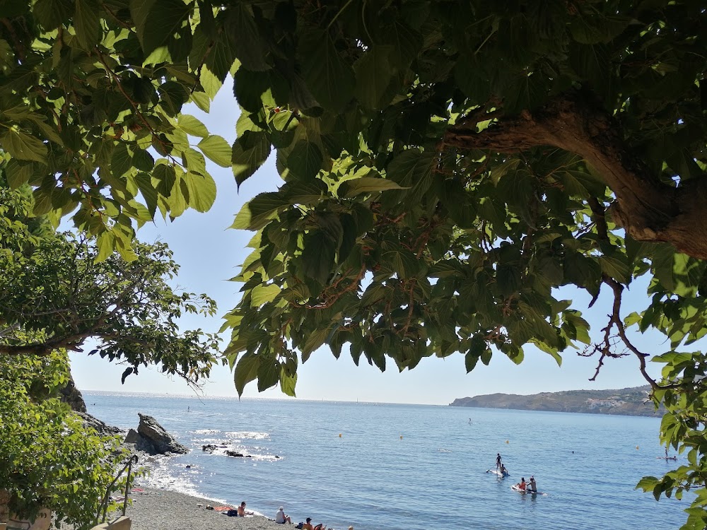 Plage de Sana