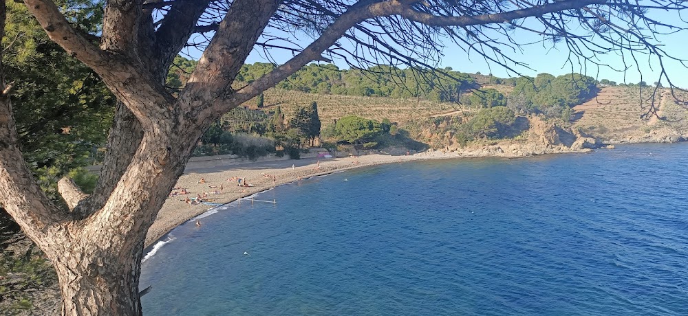 Plage de Sana