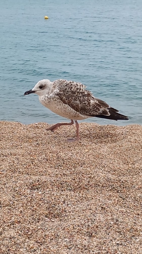 Platja del Racó