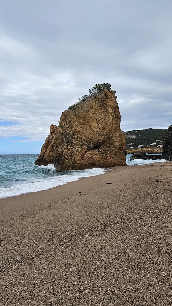 Platja del Racó