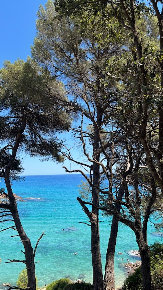 Platja De Blanes