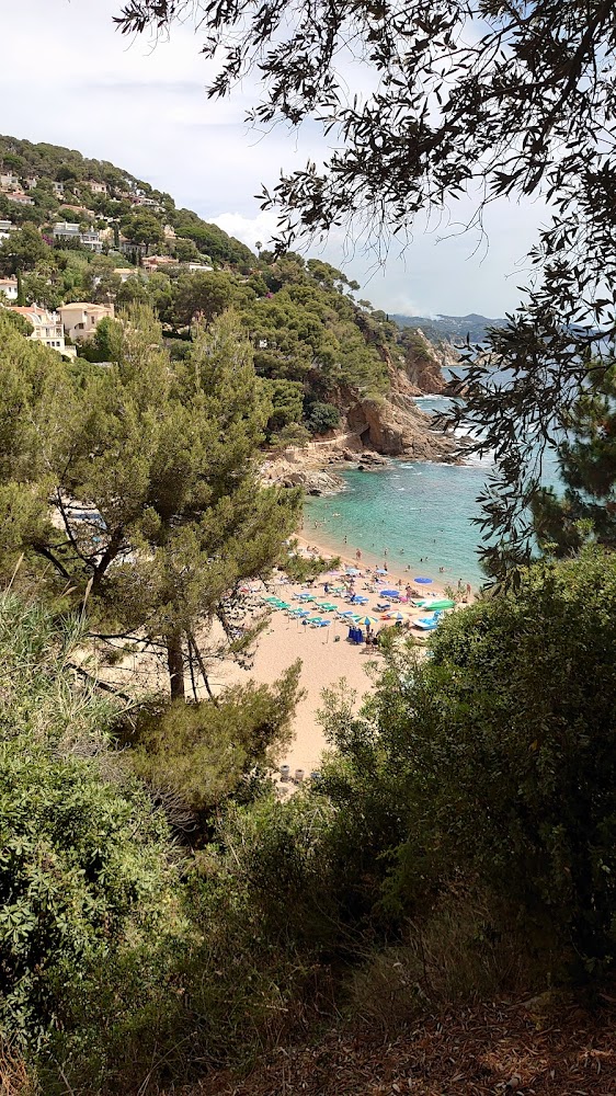 Platja De Blanes