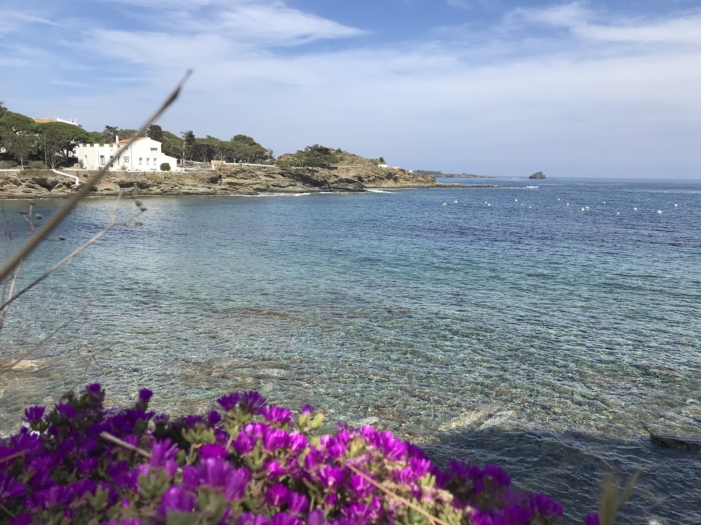 Playa sa Conca