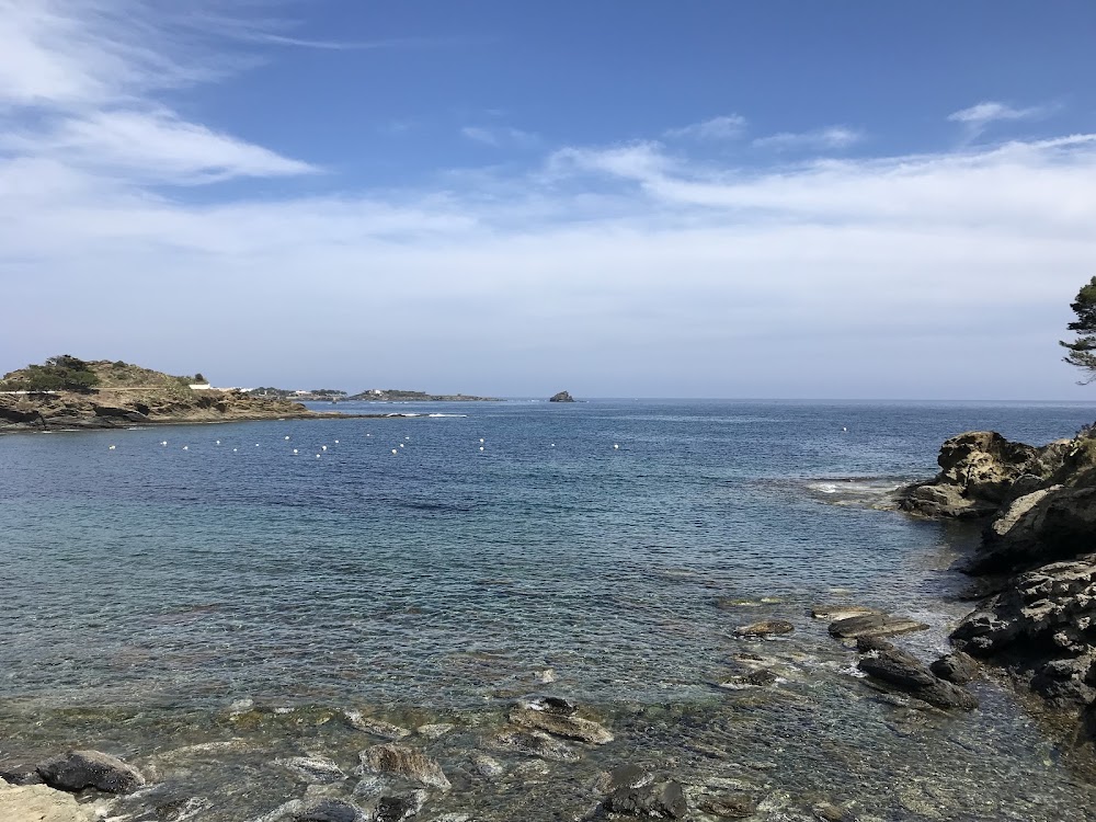 Playa sa Conca
