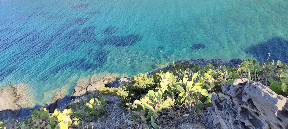 Playa sa Conca