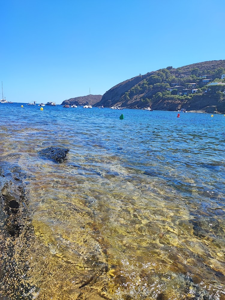Playa sa Conca