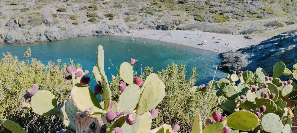 Playa sa Conca