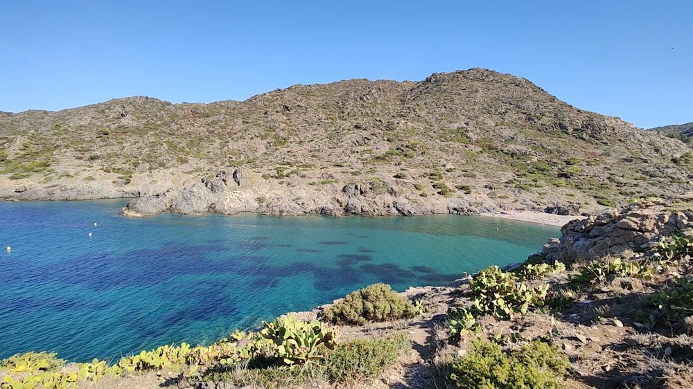 Playa sa Conca