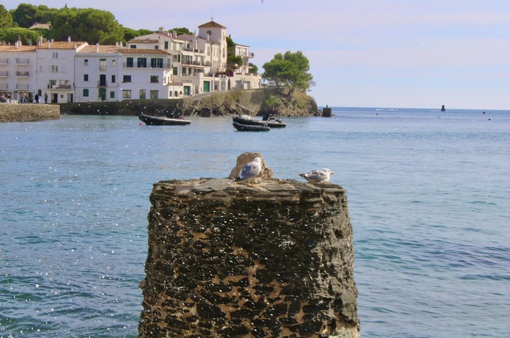 Playa Port d'Alguer