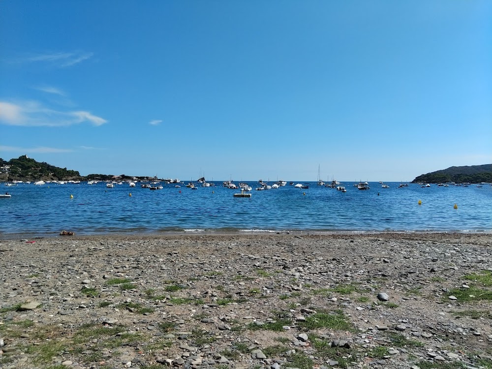 Playa Port d'Alguer