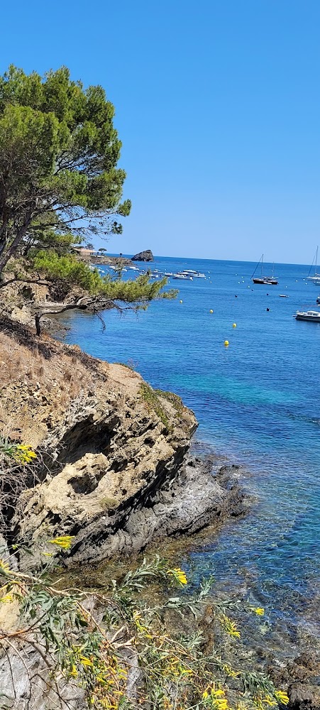 Playa Port d'Alguer