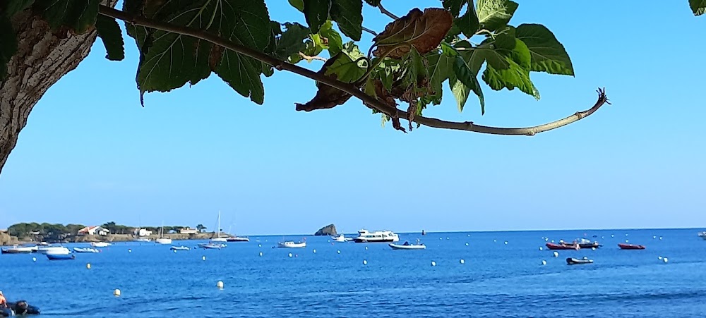 Playa Port d'Alguer