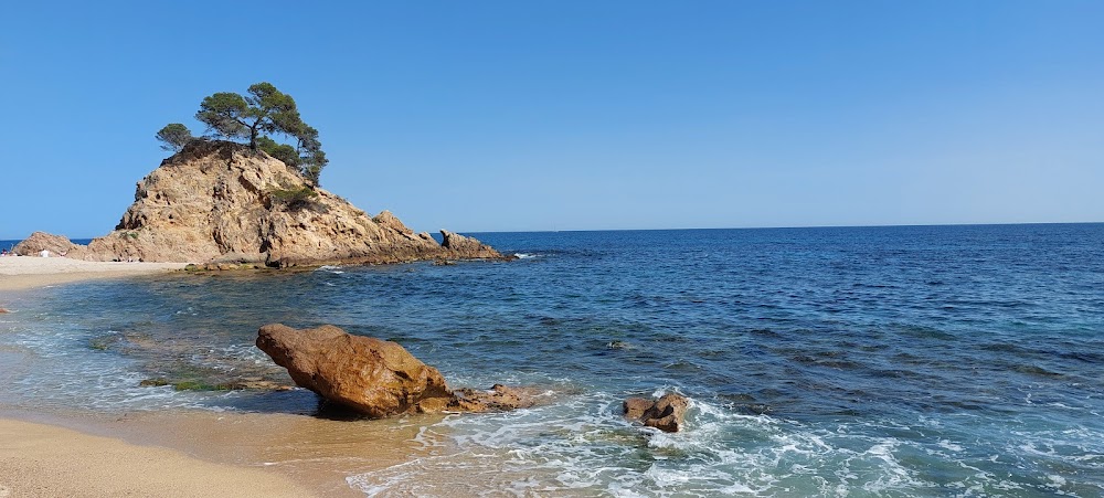 Platja Cala Cap Roig