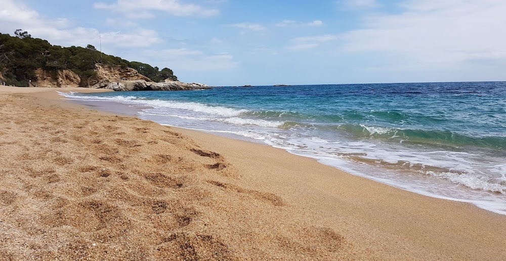 Platja Cala Cap Roig
