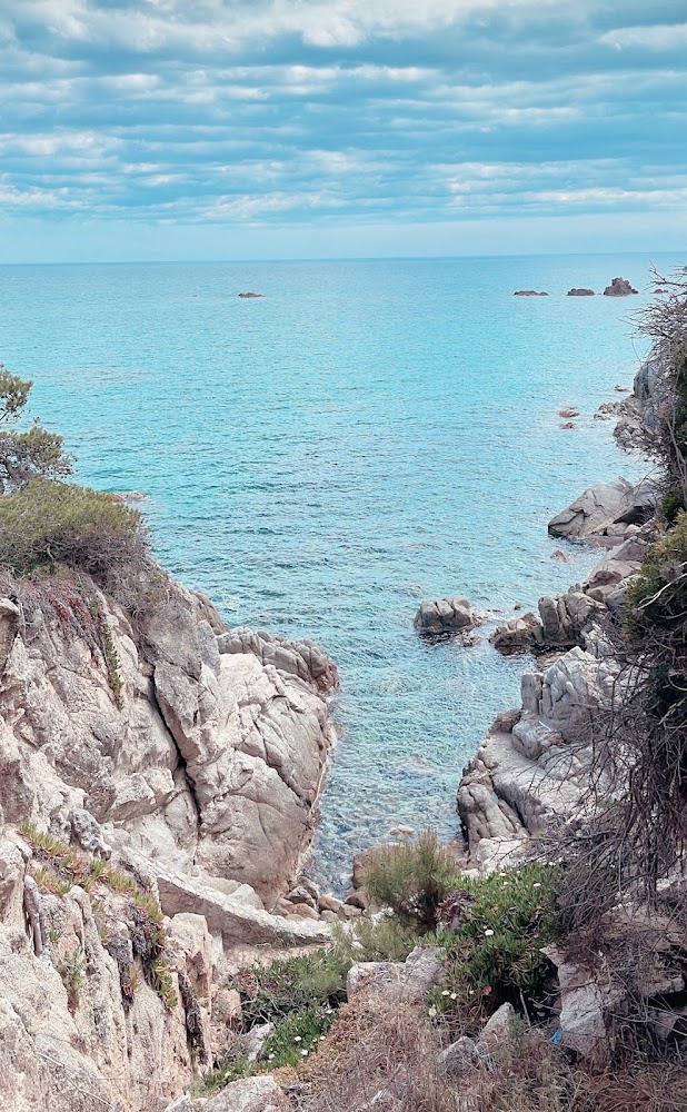 Platja Cala Cap Roig