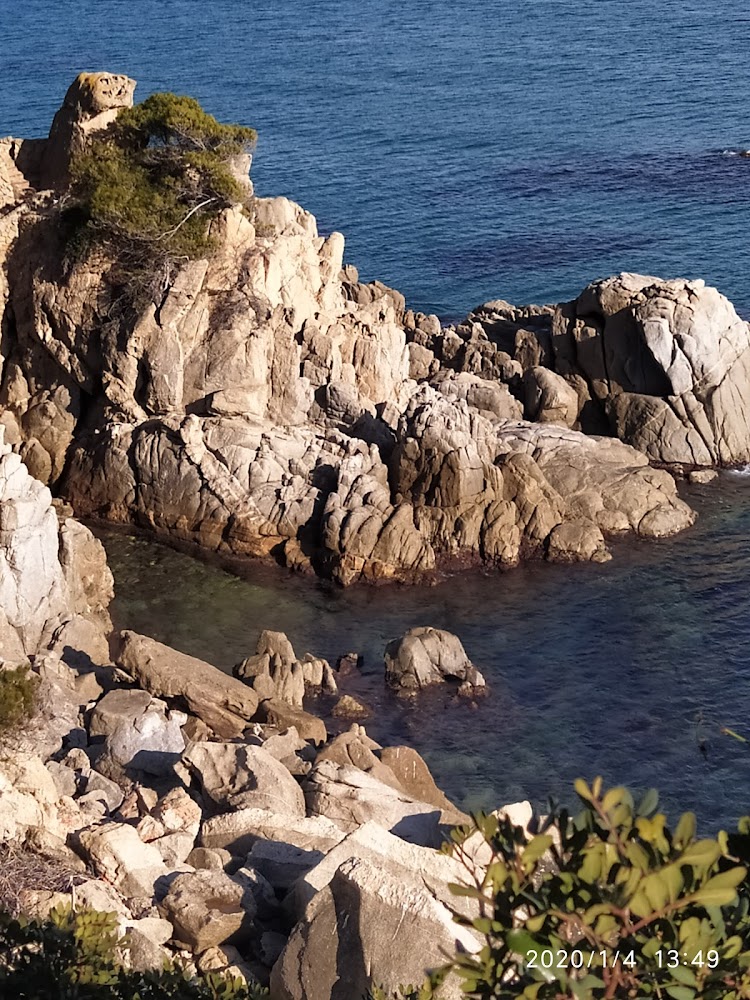 Platja Cala Cap Roig