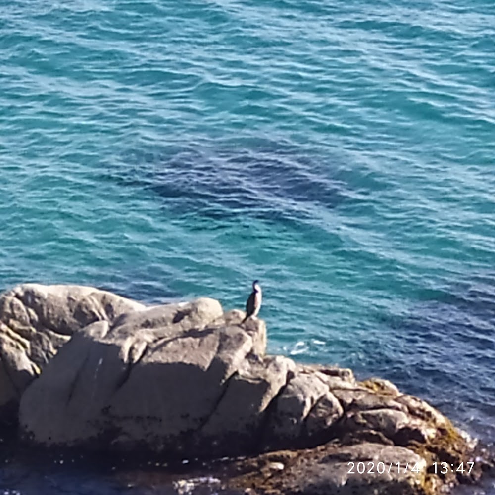 Platja Cala Cap Roig