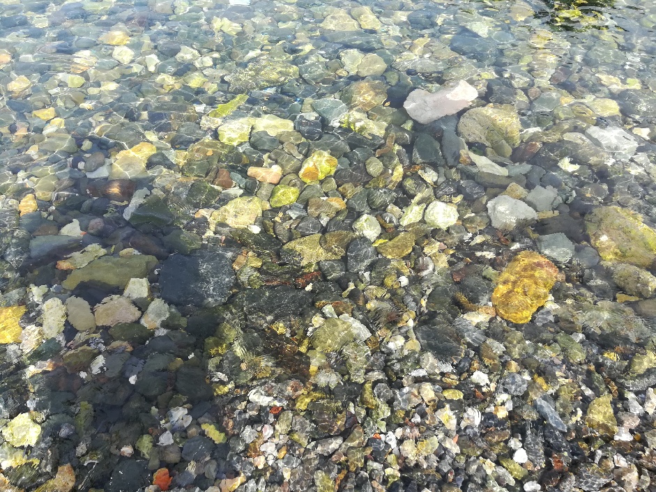 Plage de Cerbère