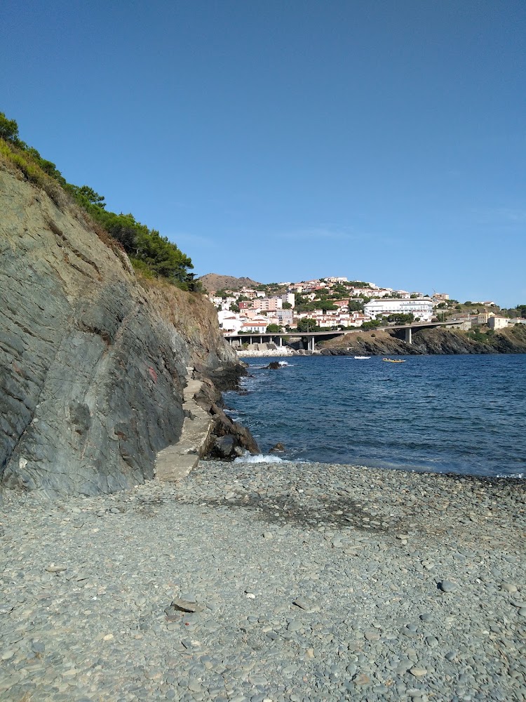 Plage de Cerbère