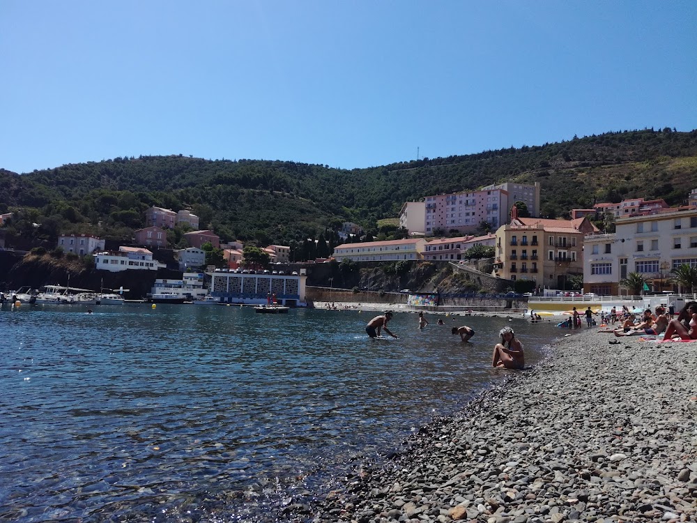 Plage de Cerbère