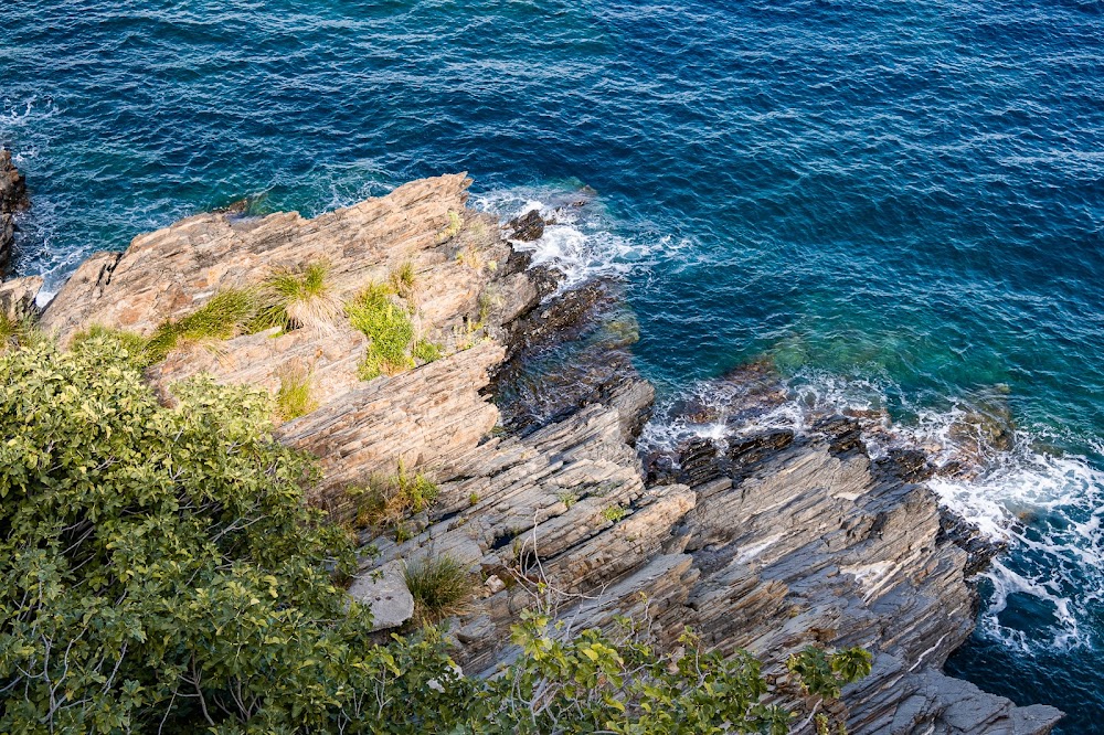 Plage de Cerbère