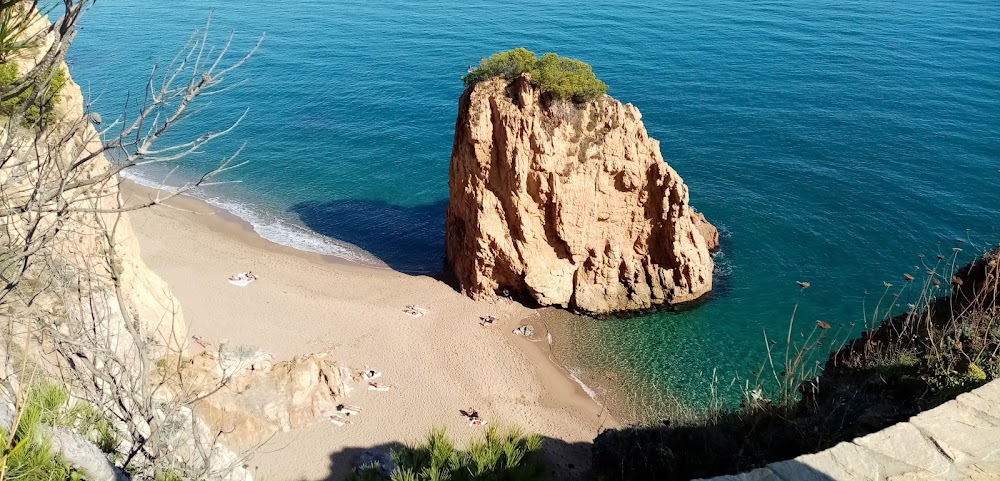 Playa de la Riba