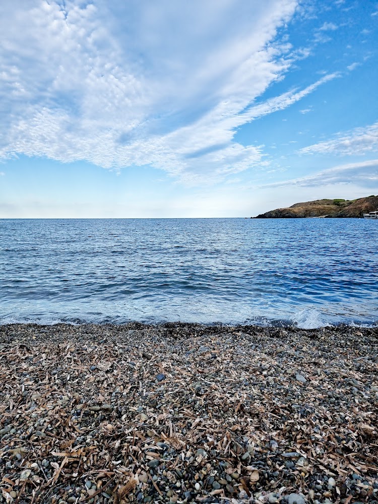 Plage de Peyrefite