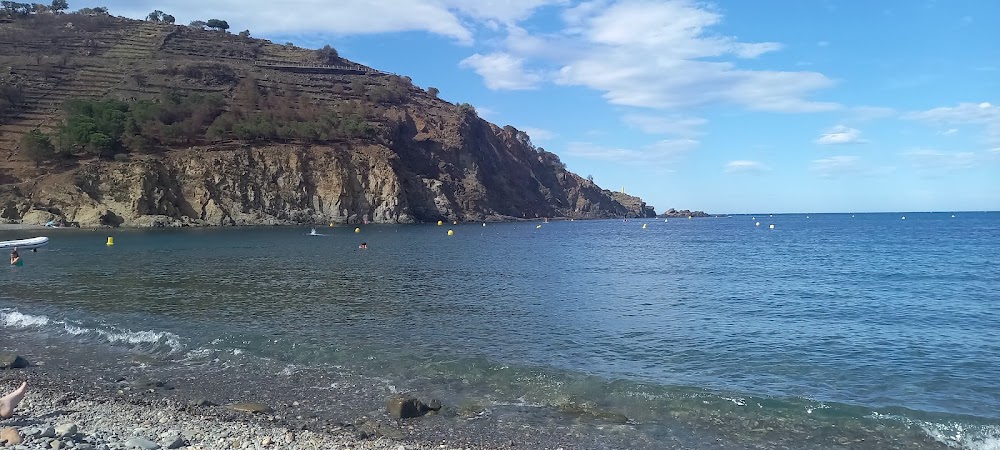 Plage de Peyrefite