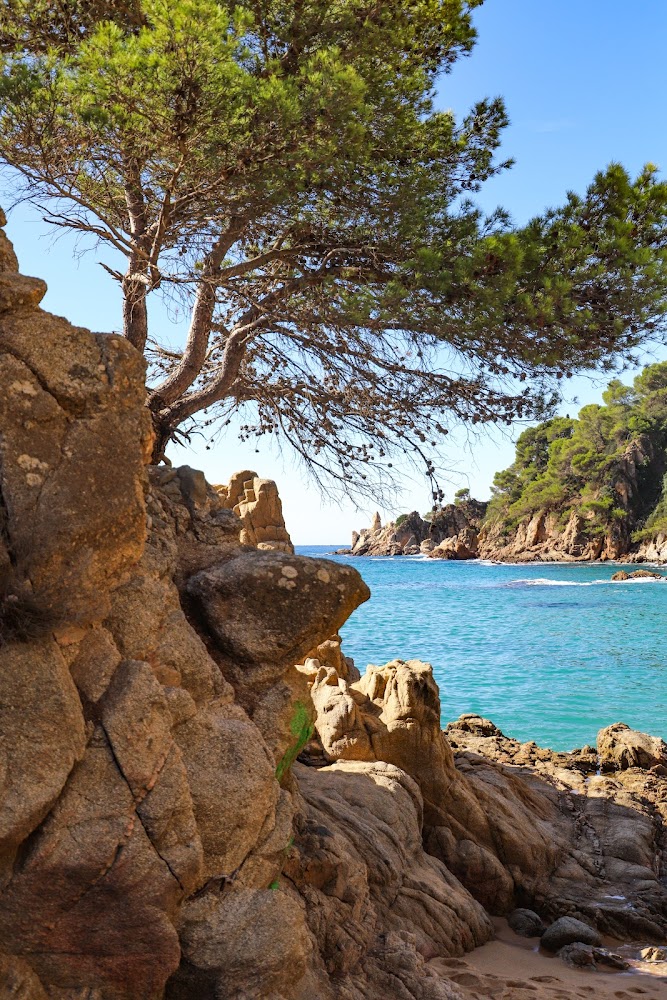 Playa Santa Cristina