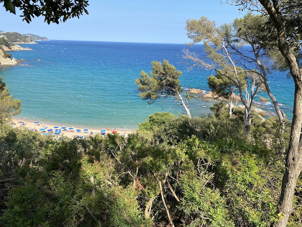 Playa Santa Cristina