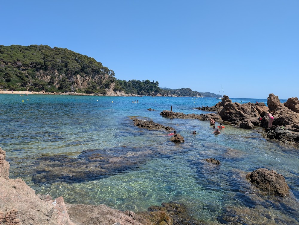 Playa Santa Cristina