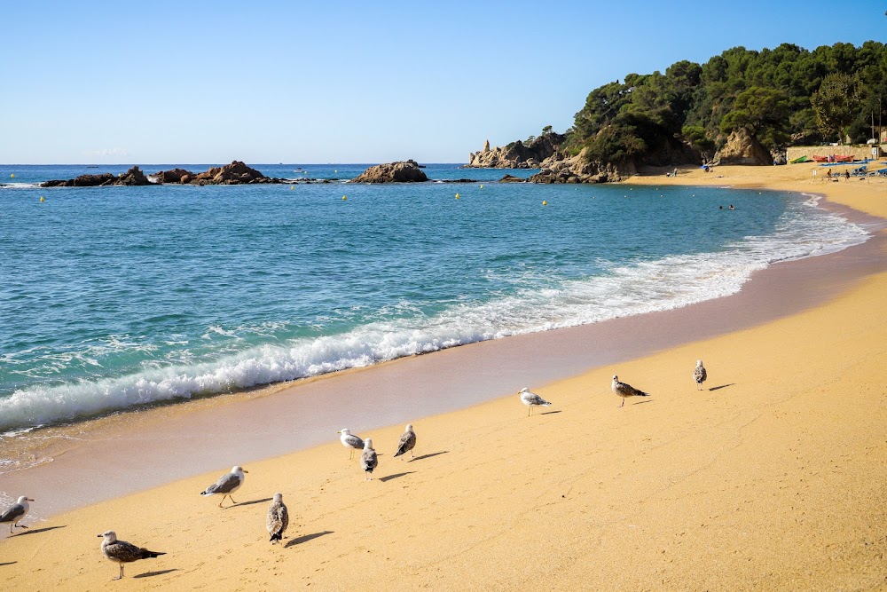 Playa Santa Cristina