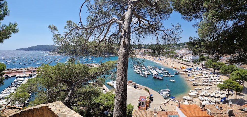 Playa de Llafranc