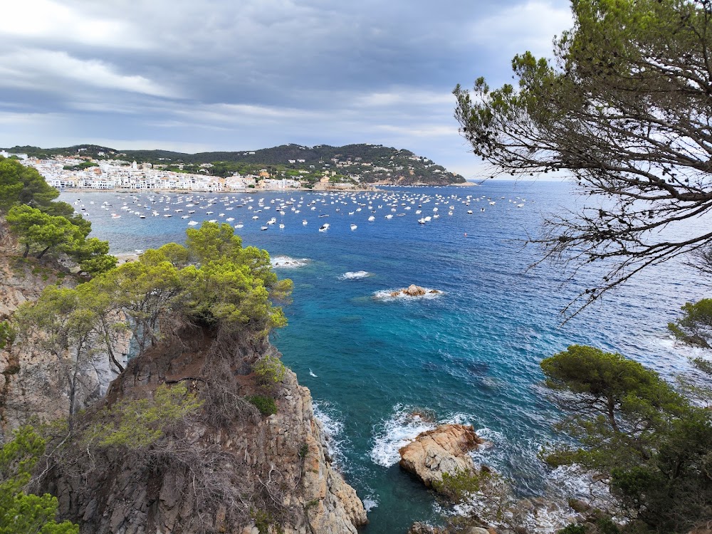 Playa de Llafranc