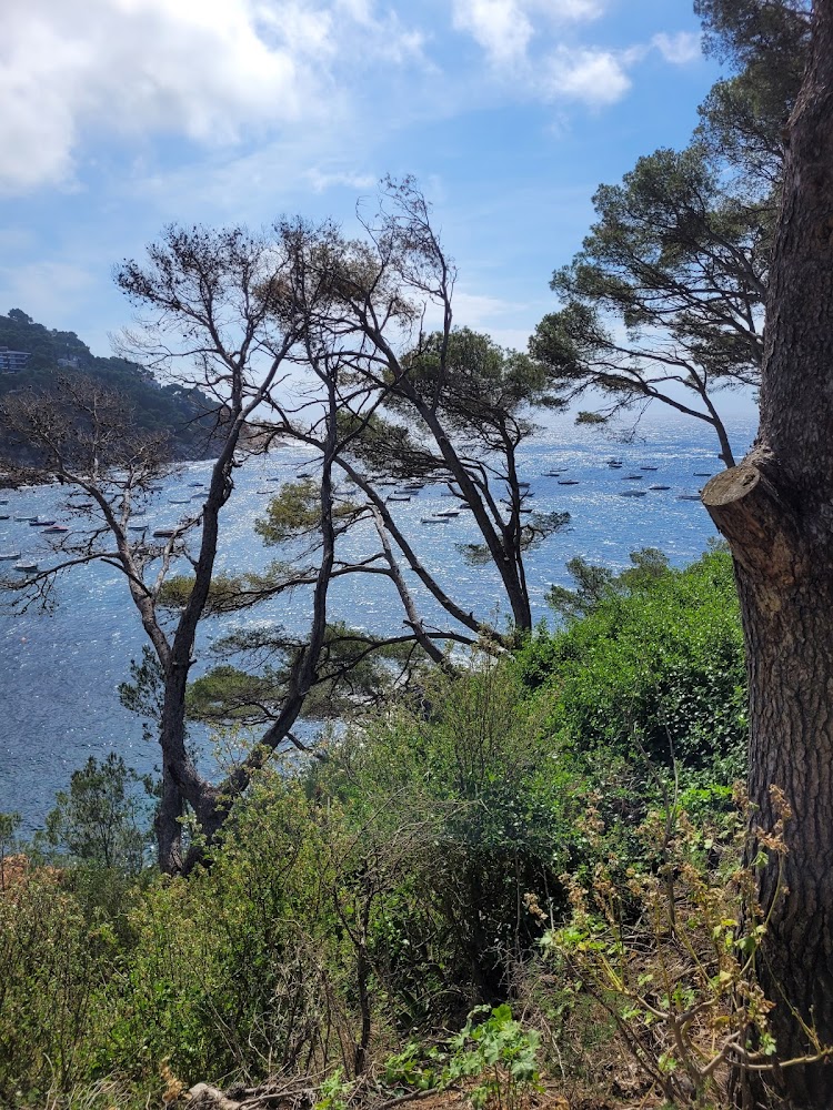 Playa de Llafranc