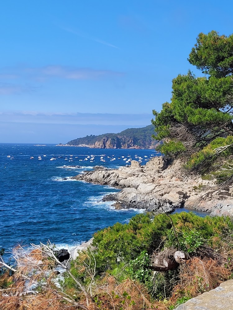 Playa de Llafranc