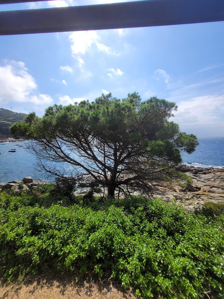 Playa de Llafranc