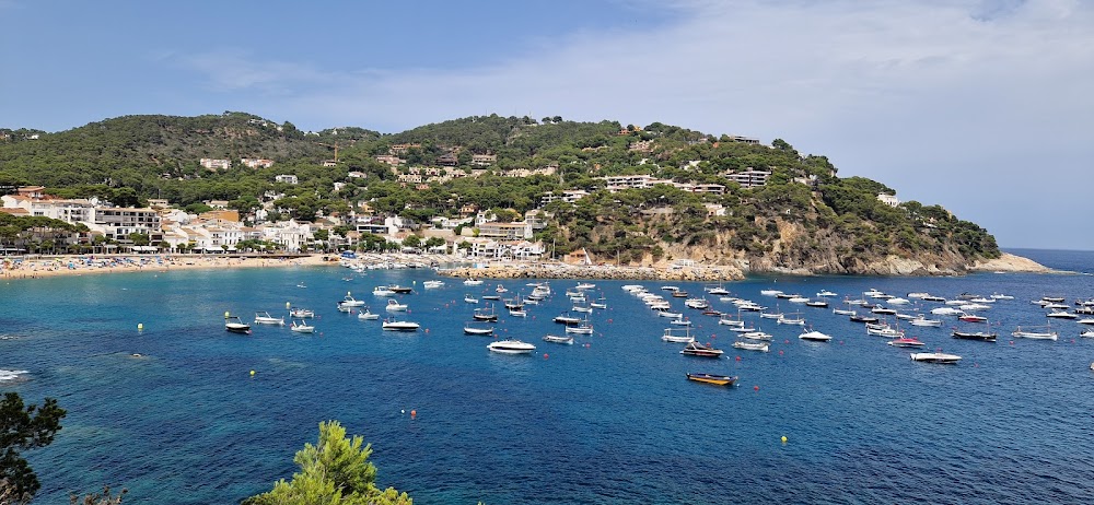 Playa de Llafranc