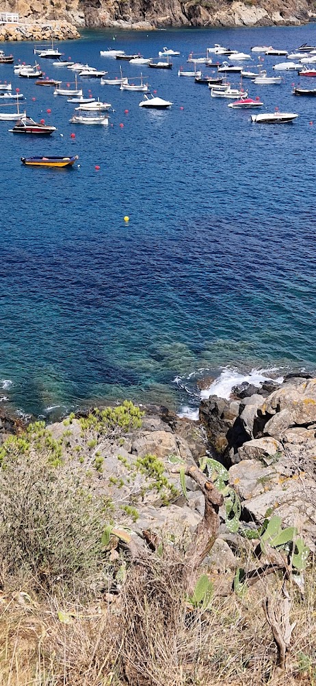 Playa de Llafranc