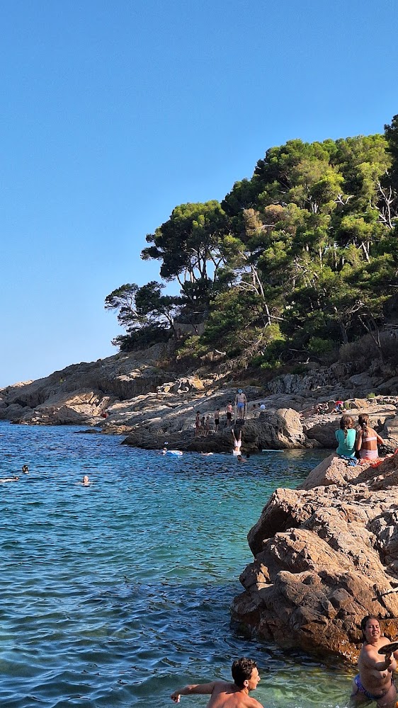 Playa de Llafranc