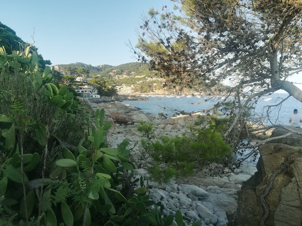 La Platgeta