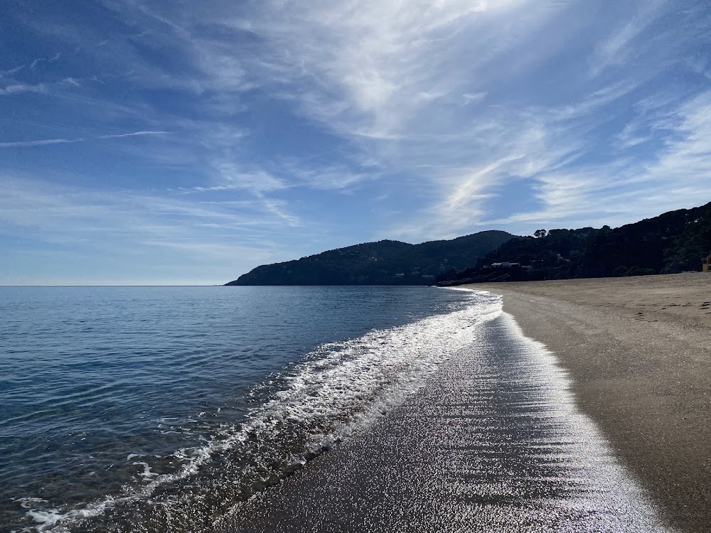 Platja de Pals