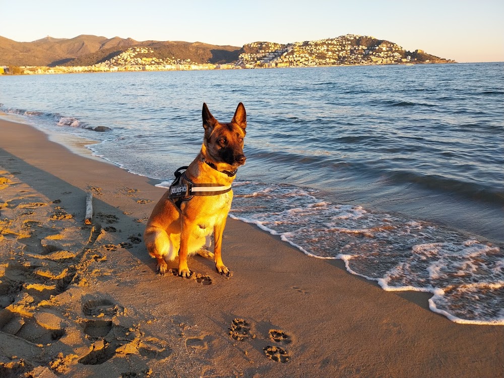 Playa de Santa Margarita