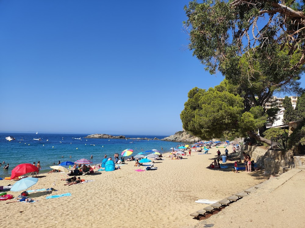Playa de la Almadrava